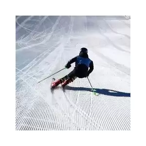 Skiuri