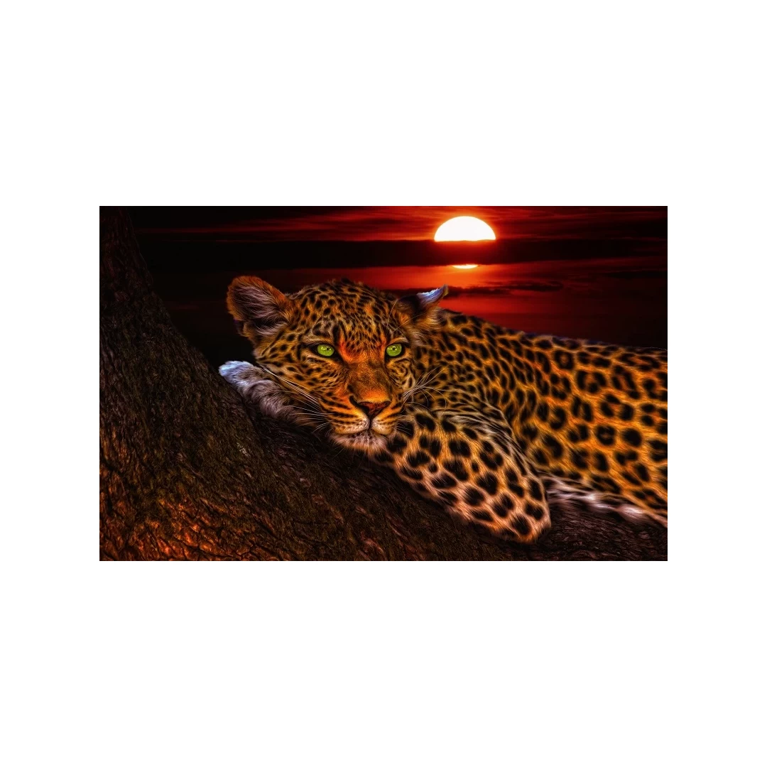 Tablou Canvas, Animal, Leopard, 80 x 50 cm, Multicolor - <p>Tablou Canvas, Animal, Leopard, 80 x 50 cm, Multicolor</p>