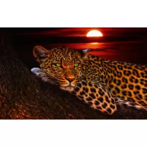 Tablou Canvas, Animal, Leopard, 80 x 50 cm, Multicolor - <p>Tablou Canvas, Animal, Leopard, 80 x 50 cm, Multicolor</p>