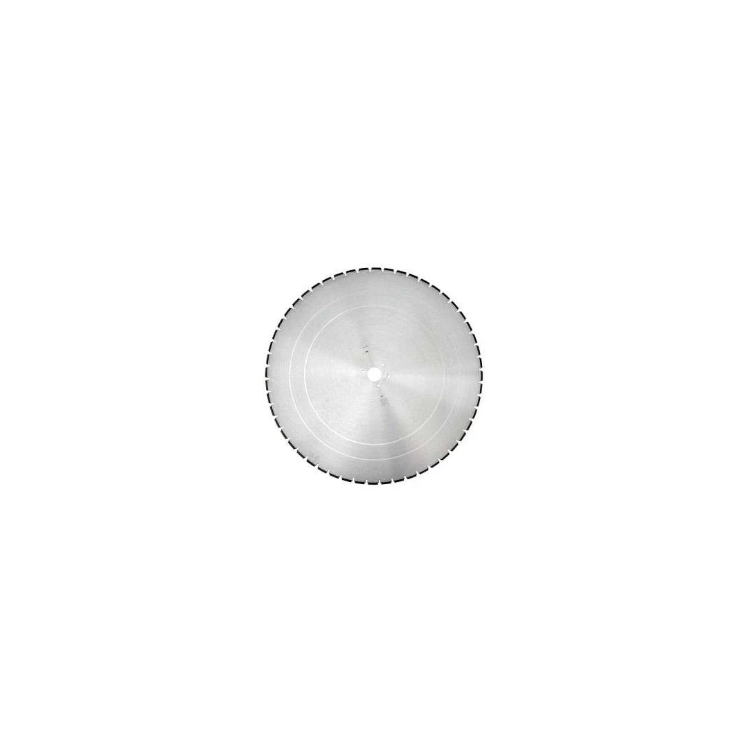 Disc diamantat BS-W 700/10, diametru 700x25.4mm DR.SCHULZE, caramida - Avem pentru tine disc diamantat industrial, diametru 700mm, caramida. Produse de calitate la preturi avantajoase.