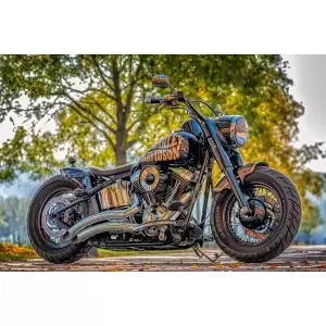 Tablou Canvas,Motocicleta Harley Davidson, 60 x 40 cm, Rama lemn, Multicolor - <p>Tablou Canvas,Motocicleta Harley Davidson, 60 x 40 cm, Rama lemn, Multicolor</p>
