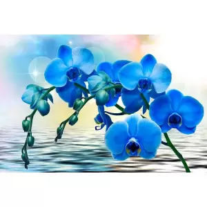 Tablou Canvas,Orhidee albastra, 90 x 60 cm, Rama lemn, Multicolor - <p>Tablou Canvas,Orhidee albastra, 90 x 60 cm, Rama lemn, Multicolor</p>