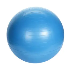 Minge albastră pentru fitness 55 cm - 