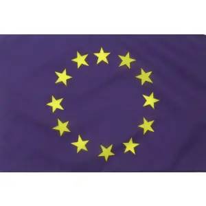 Steag Uniunea Europeana 90 x 150 cm - 