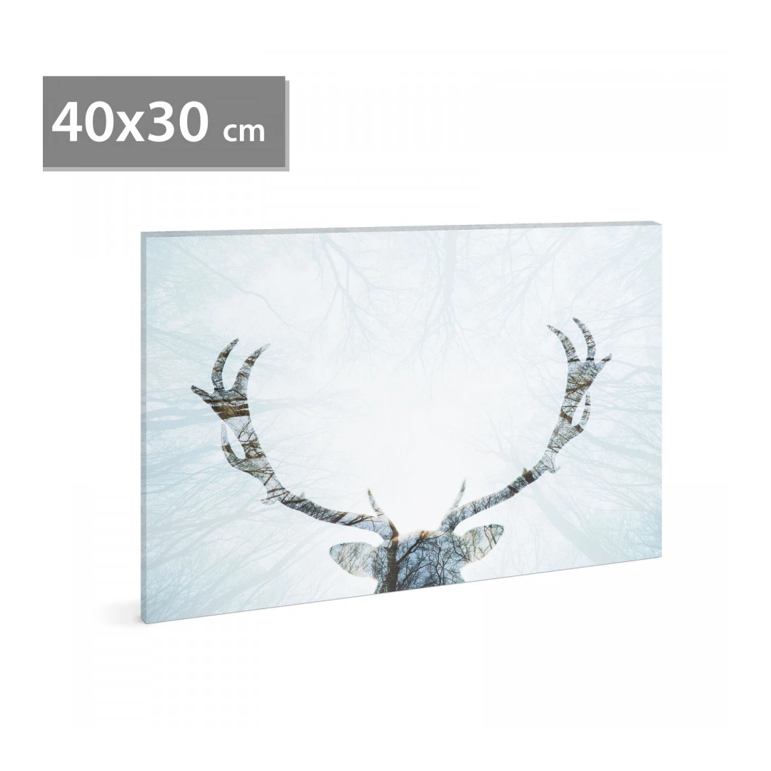 Tablou decorativ LED, cu ren - 40 x 30 cm - 