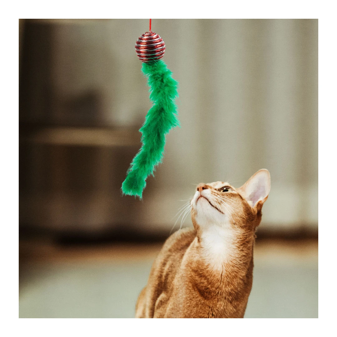 Jucărie pentru pisici - culori de Crăciun - 2 tipuri - 