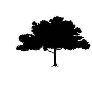 Tabla Scolara sub Forma de Autocolant pentru Scris cu Creta, Copac Mare, Negru, 120 x 80 cm - 