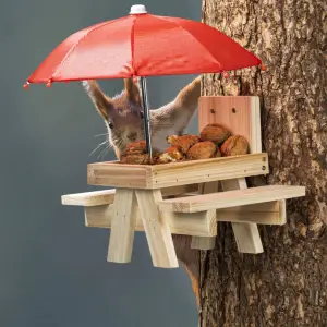 HI Hrănitor pentru veverițe cu umbrelă, bej - Dacă ați observat o veveriță în grădina dvs., acest hrănitor pentru veverițe cu umbrelă, de la HI, este cu siguranță un must-have pentru dvs. Design d...