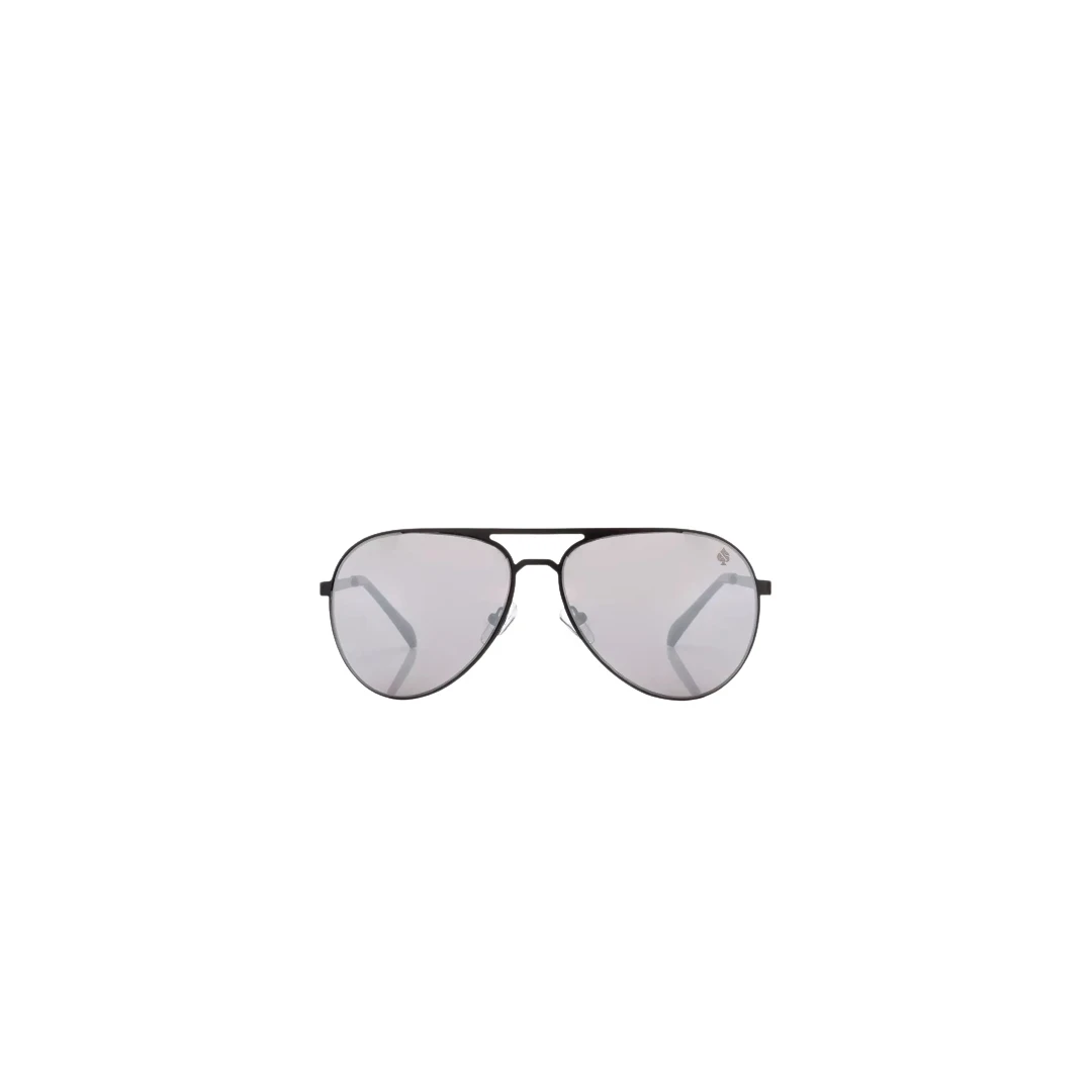 Ochelari de soare cu rama metalica tip Aviator, lentile polarizate, Unisex, Alejandro Sanz Pilot 15143-negru 65 mm - 