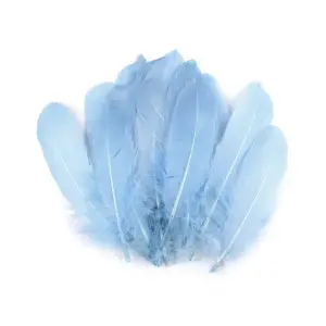 Set 20 pene decorative gasca Kyrra, lungime 15 -21 cm, Bleu - 