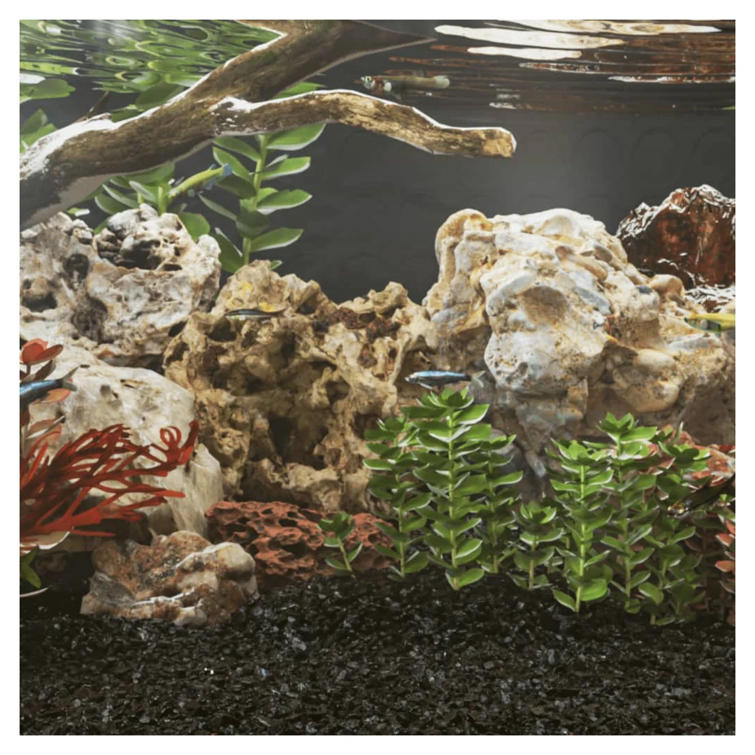 Pietre dragon, 10 kg, maro, 5-30 cm - Aceste pietre dragon vin într-o varietate de forme, oferind un aspect atrăgător și distinctiv acvariului dvs. Naturală și sigură: Piatra dragon este 1...