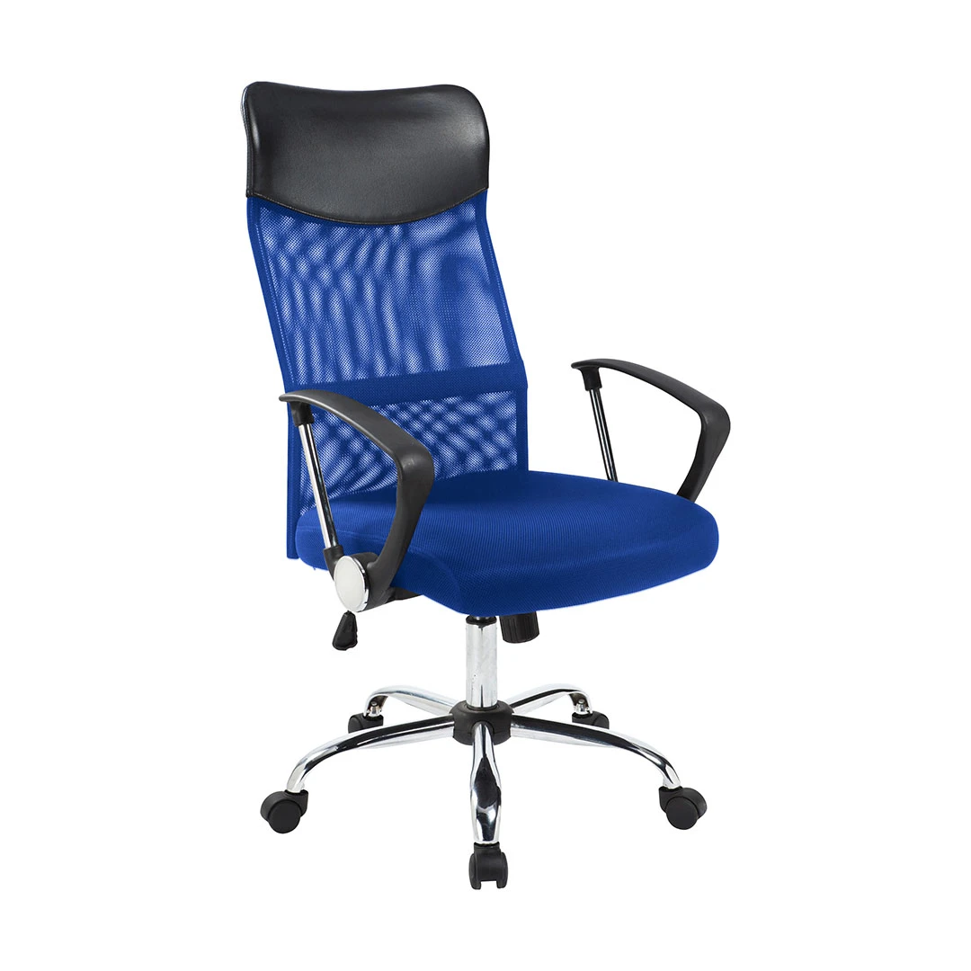 Scaun de birou ergonomic cu spatar inalt, albastru - 