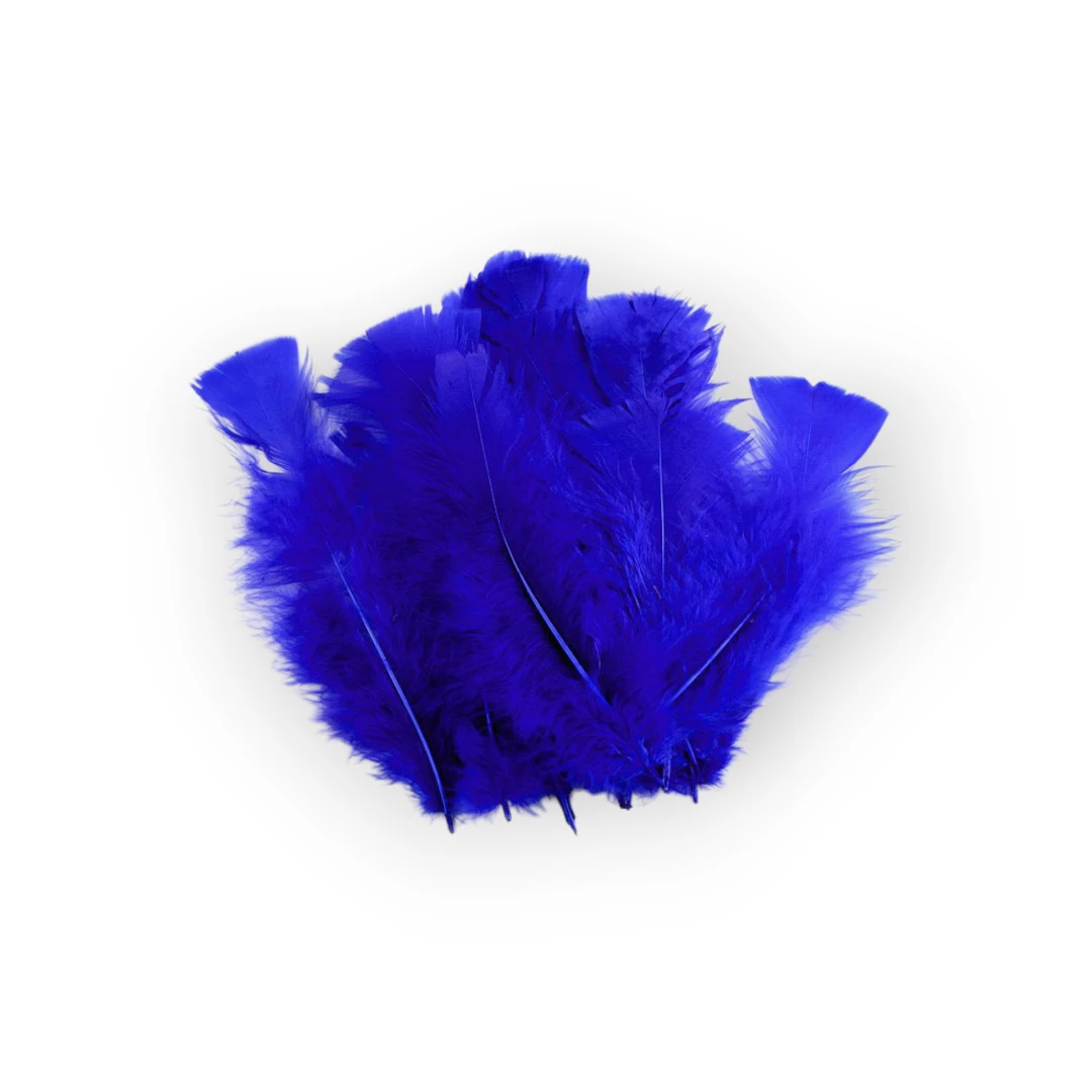 Set 20 pene decorative curca, lungime 10 - 15 cm, Albastru regal - 