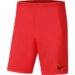 Pantaloni Nike Park III Knit pentru barbati, S - 