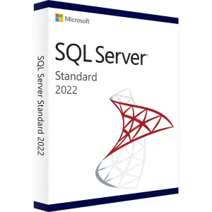 Windows SQL Server 2022, Standard, kit ISO, licenta digitala - 