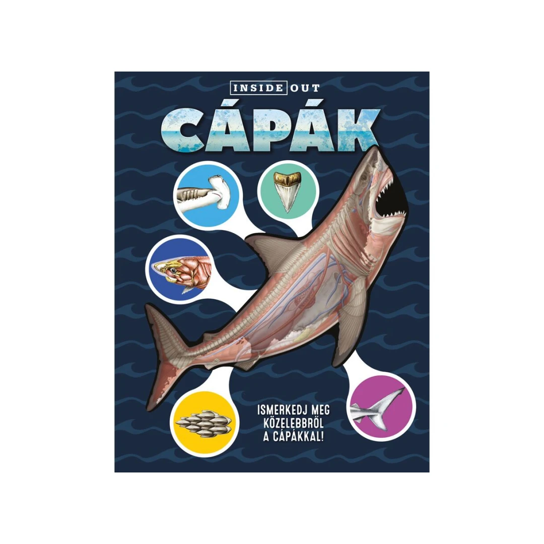 Capak - 3D Modell,  - Editura Kreativ - 