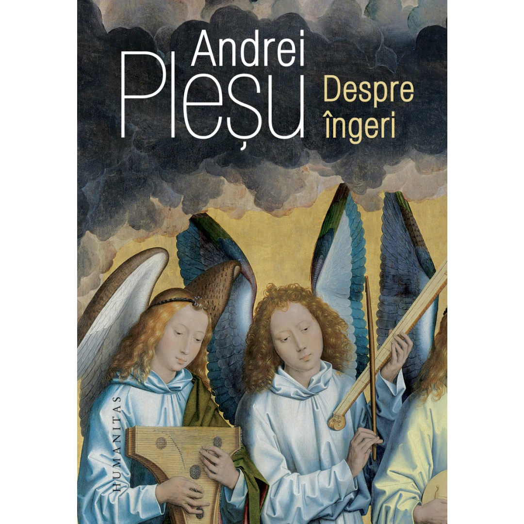Despre Ingeri, Andrei Plesu - Editura Humanitas - 