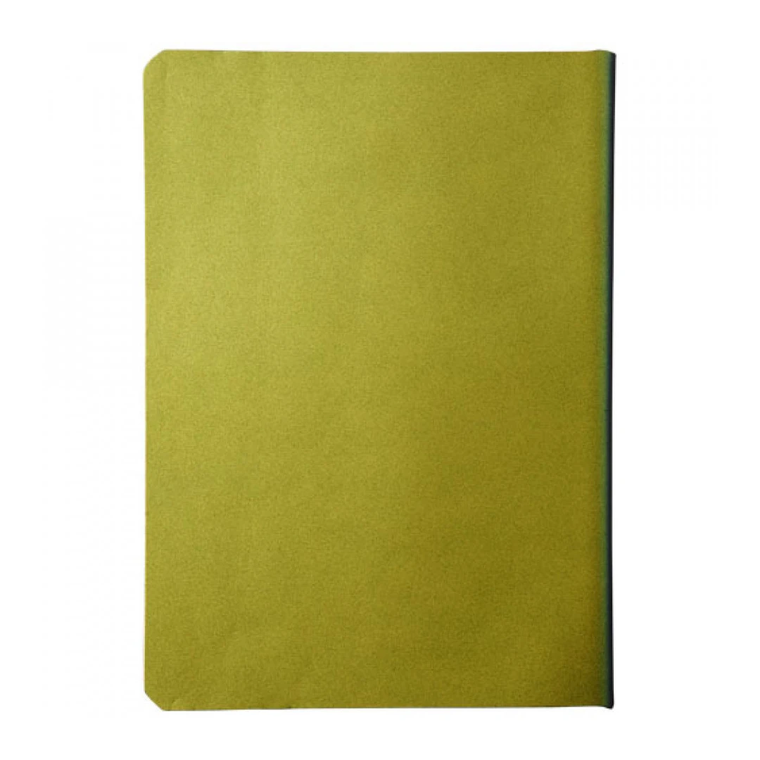 Notebook Softcover, liniat dictando, B6, 174x124mm, 80 file, Cameleon, Verde - 
