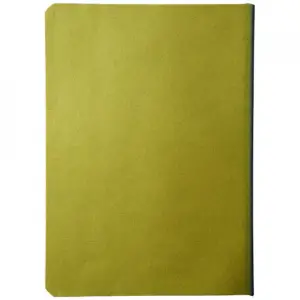 Notebook Softcover, liniat dictando, B6, 174x124mm, 80 file, Cameleon, Verde - 