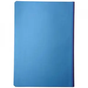 Notebook Softcover, liniat dictando, B6, 174x124mm, 80 file, Cameleon, Albastru - 