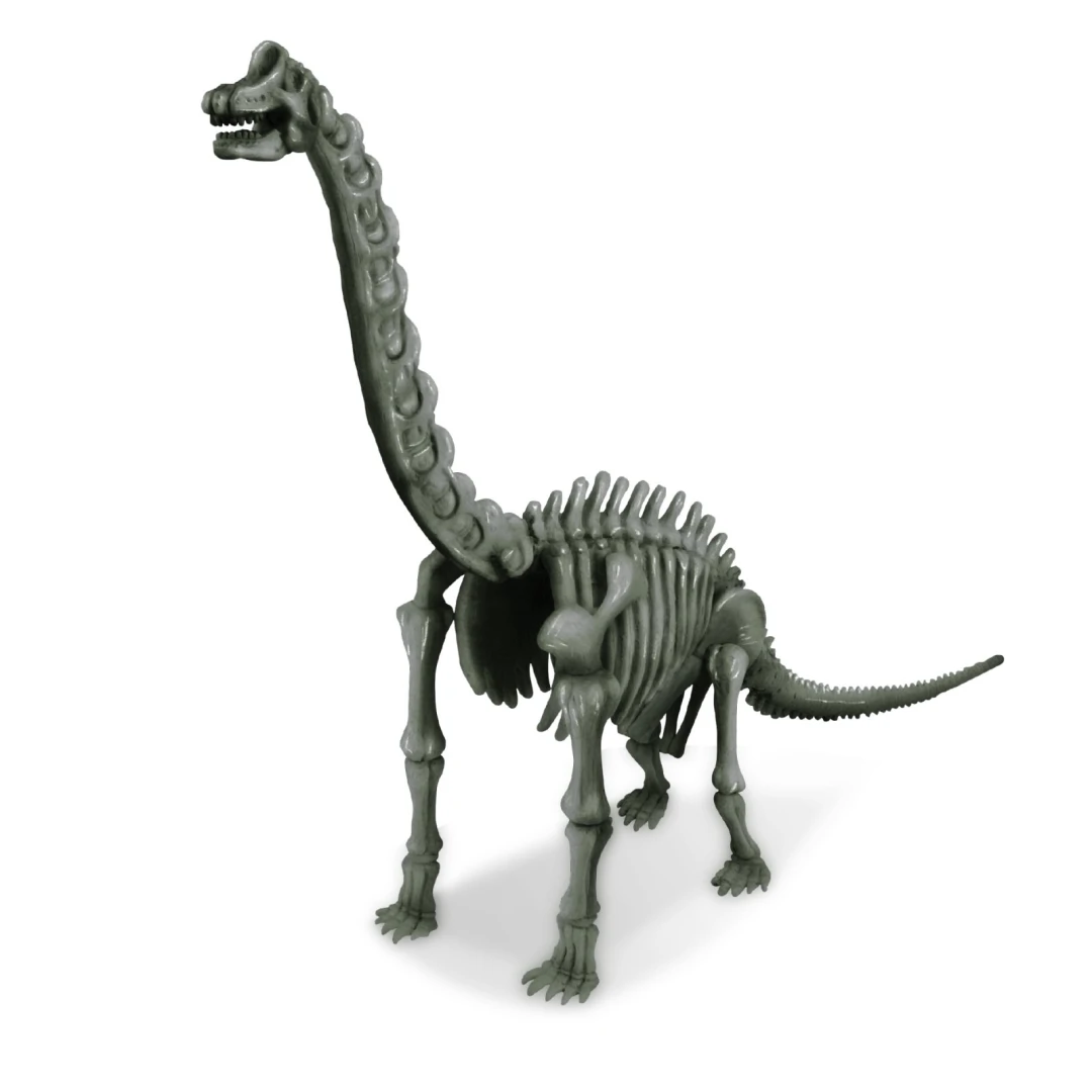Set educativ Sapa si descopera Dinozauri - Brachiosaurus - 