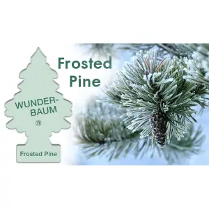 Odorizant Auto Wunder-Baum®, Frosted Pine - 