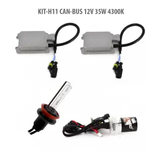 H11 CAN-BUS 12V 35W 4300K - 