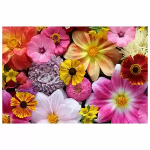 Tapet autoadeziv Premium, Priti Global, Textura canvas, cu Flori multicolore, 130x87 cm - 