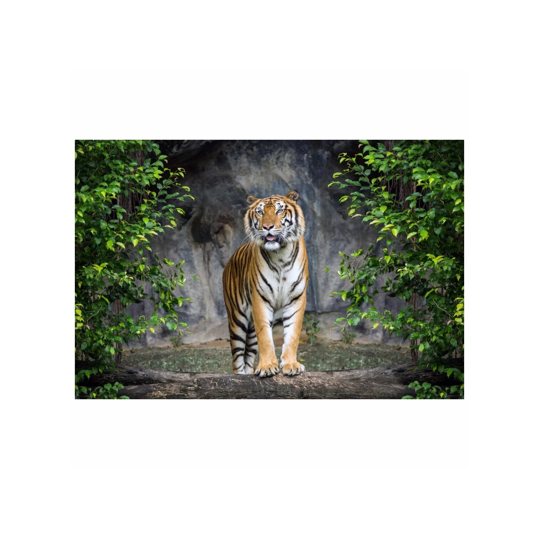 Tapet autoadeziv Premium, Priti Global, Textura canvas, Tigru in jungla, 130x87 cm - 