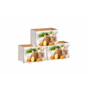 Set 3 cutii decorative cu iepurasi - cfp15027s - 