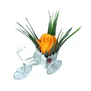 Aranjament Floral, Bicicleta, Trandafir Portocaliu, Parfumat, Buburuza - 