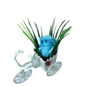 Aranjament Floral, Bicicleta, Trandafir Albastru Deschis, Parfumat, Buburuza - 