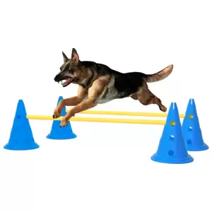 Set de obstacole pentru activități câini, albastru și galben - Acest set de obstacole pentru activitățile câinelui, încurajează dorința naturală a câinelui dvs. de a face mișcare și asta îl face mai sănătos. Acest...