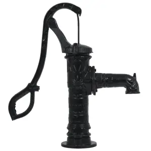 Pompă de apă manuală de grădină, fontă - Această pompă de apă este complet manuală și foarte ușor de utilizat. Cu ajutorul mânerului, care se deplasează în sus și în jos, apa este pompată din...