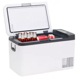 Ladă frigorifică cu mâner, alb-negru, 18 L PP și PE - Cu această cutie frigorifică portabilă, puteți avea întotdeauna alimente proaspete și băuturi reci pentru orice activitate în aer liber, călătorii scu...