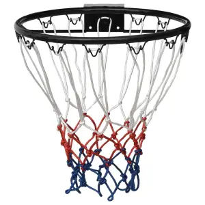Coș de baschet, negru, 39 cm, oțel - Cu acest coș de baschet, puteți exersa aruncări libere și înscrieri la coș, pentru un joc de baschet acasă, în timpul liber. Material durabil: Inelul...