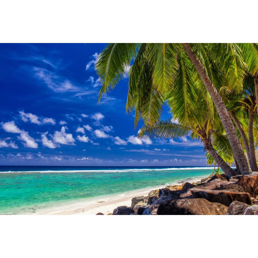 Fototapet Palmieri, plaja tropicala, 400 x 250 cm - 