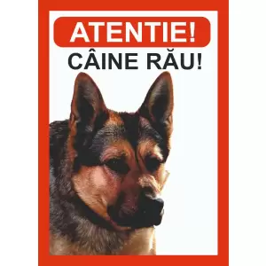 CAINE RAU - Chiar acum Panou informare autocolant asupra unui risc sau a unui pericol. La dispozitia dumneavoastra!