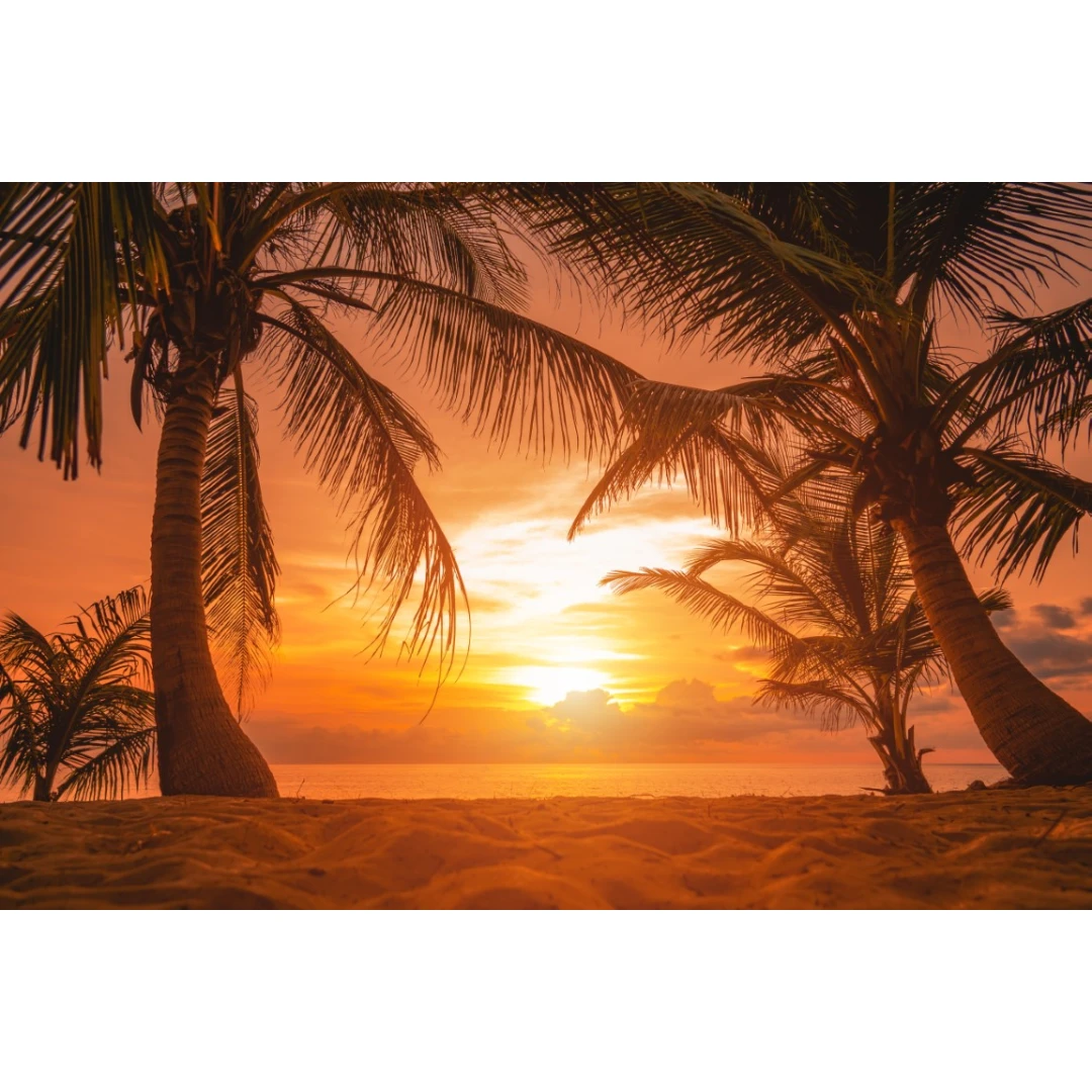 Fototapet autocolant Plaja78 cu palmieri in apus de soare, 350 x 200 cm - 