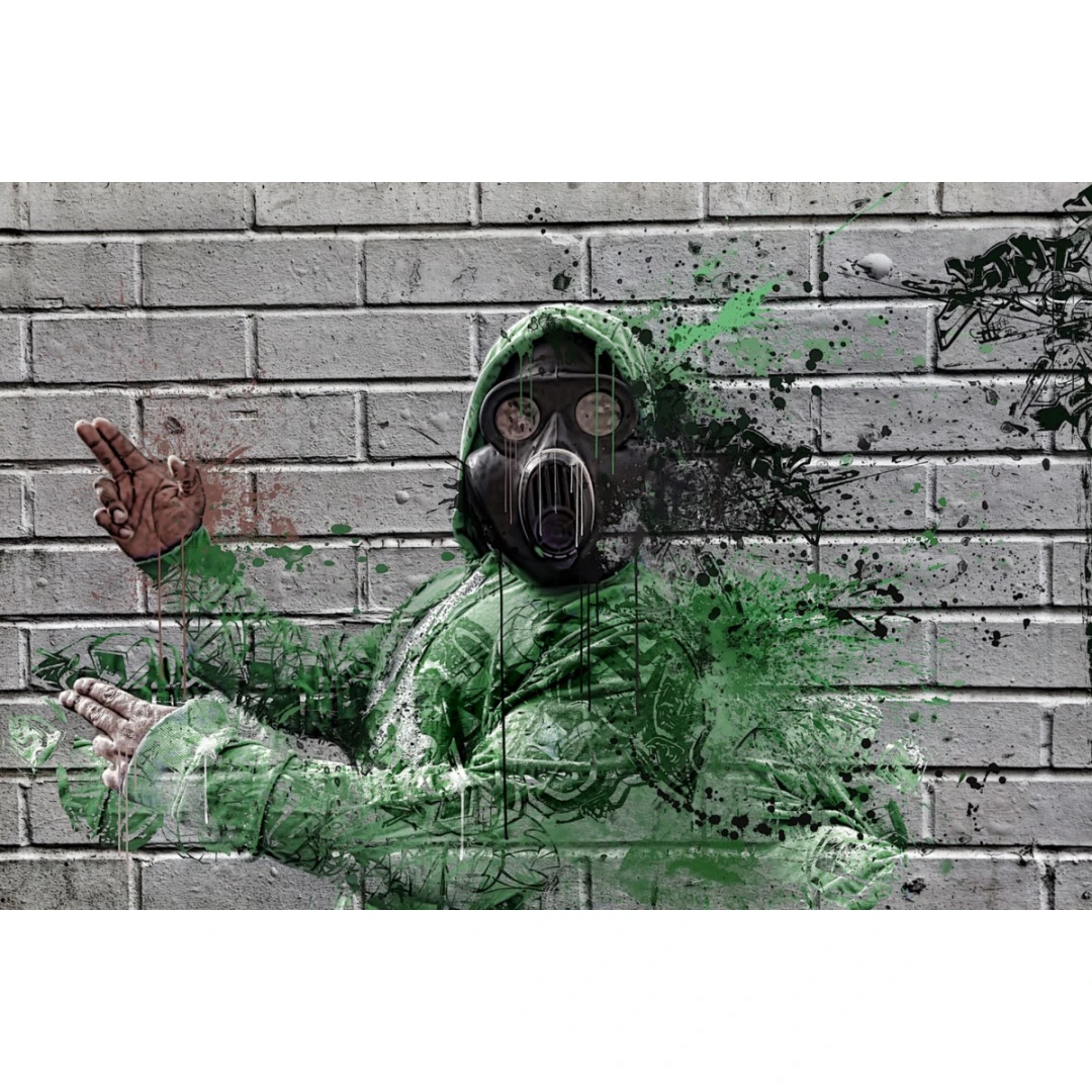 Fototapet de perete autoadeziv si lavabil Grafiti cu masca, 270 x 200 cm - 