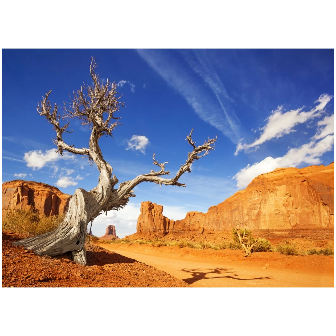 Fototapet autocolant Natura173 Arizona Grand Canyon, 270 x 200 cm - 