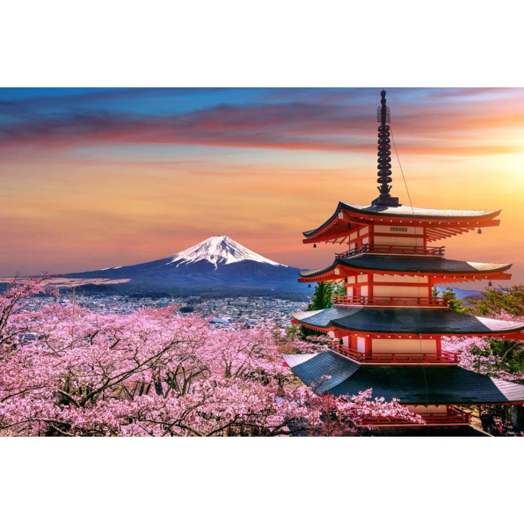 Fototapet autocolant Flori152 Templu japonez cu ciresi infloriti in apus, 270 x 200 cm - 