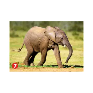 Mini puzzle elefant  mergand, 54 piese, Dino - Mini puzzle elefant mergând, cu 54 de piese, este un produs distractiv și educativ pentru copii. Brandul Dino este cunoscut pentru calitatea și diversitatea produselor sale, iar acest puzzle nu face excepție. Copiii vor fi încântați să rezolve acest puzzle și să vadă imaginea completă a unui elefant vesel și jucăuș în timp ce se distrează și își dezvoltă abilitățile cognitive.