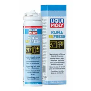 Spray Curatare Instalatie Clima Liqui Moly 75 ml - 